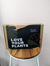 Load image into Gallery viewer, Plant care hamper
